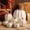 White, variant on Artificial Foam Pumpkins, Fall Decor - Harvest Decor Foam Pumpkin 7 PCS Set for Halloween Thanksgiving Fall Decorations, Realistic Faux Pumpkins for Festive Home Decor, White