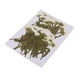 thumbnail image 5 of 50 Piezas de Flores Prensadas Naturales Sunnimix para Arreglos Florales, 5 of 8