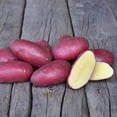 thumbnail image 1 of Pomme de Terre (1 KG), 1 of 1