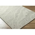 thumbnail image 2 of BoutiqueRugs Siani Traditional, Transitional Area Rug - Ash, Metallic Silver - 5' x 7'6", 2 of 8
