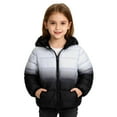 thumbnail image 5 of SGMVNU Winter Coats for Boys and Girls Gradient Color Zipper Puffer Jacket Cute Down Coats Packable Outerwear with Pockets for Kids(Size 2-3 Years, Black), 5 of 6