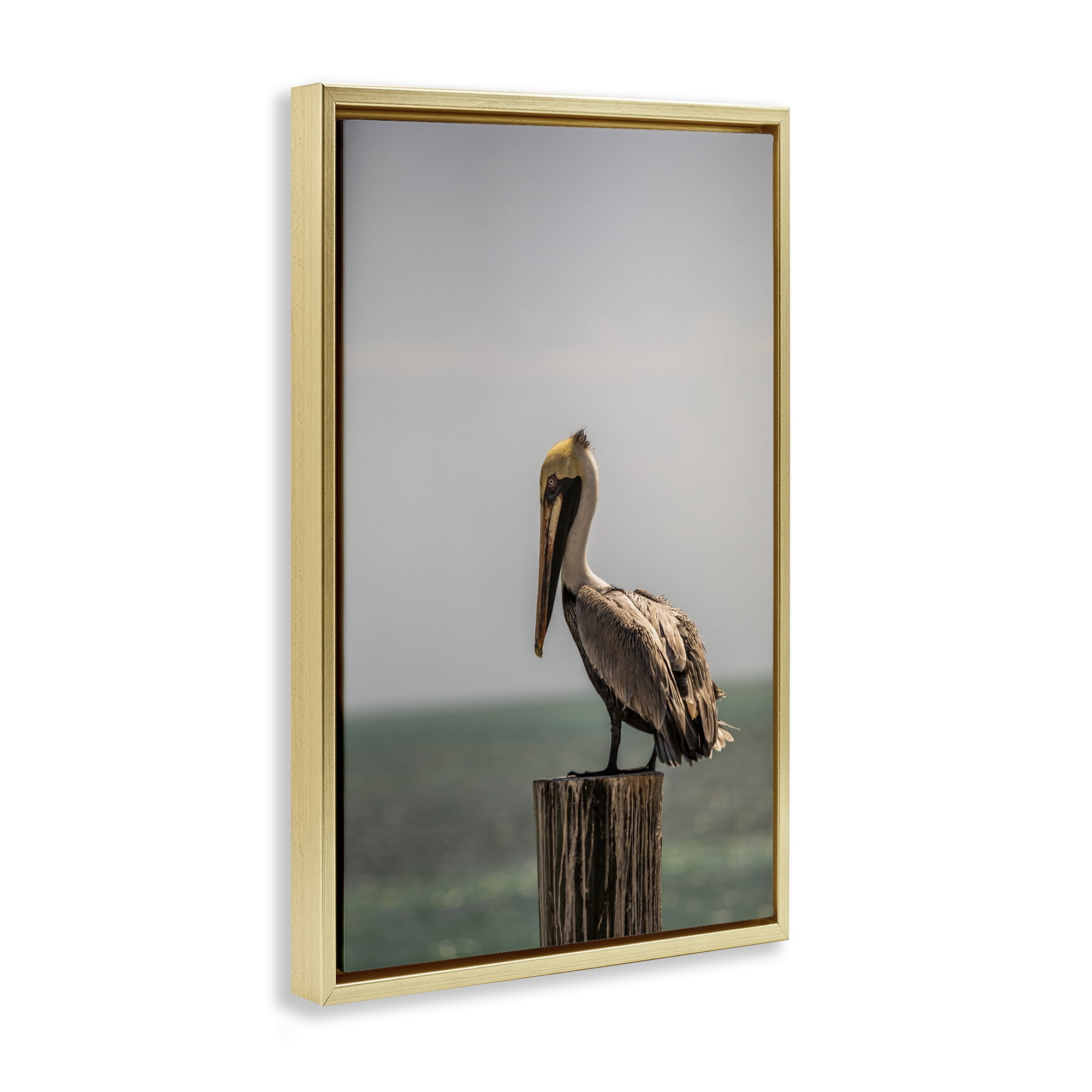 Stupell Industries Nautical Landscape Pelican Animals Photography Gold Floater Framed Canvas Art Print Wall Art, 17 x 25