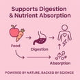 thumbnail image 5 of Maxi Health 7M Supreme Probiotic for Adults & Kids – Digestive Support – 60 Vegetarian Capsules, 5 of 8