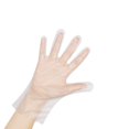 thumbnail image 5 of Guantes desechables de plástico TPE de 100 piezas, XL, 5 of 5
