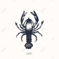 thumbnail image 3 of Homard Bleu - Toile 24"x24 Pouces - Impression à la Demande, 3 of 5