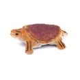 thumbnail image 2 of 8 Piezas de Plástico Modelo de Simulación Tortuga Animales Naturales Decoración de Escritorio, 2 of 8
