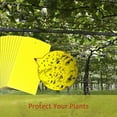 thumbnail image 6 of LIGHTSMAX 20-Pack Dual-Sided Yellow Sticky Traps Flying Plant Insect Such as Fungus Gnats, Whiteflies, Aphids, Leafminers - (6x8 Inches), 6 of 9