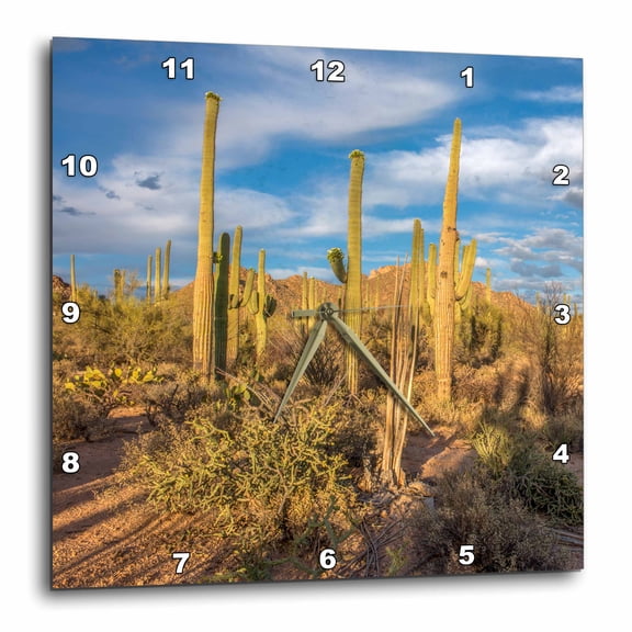 3drose, Usa, Arizona, Tucson, Saguaro National Park, Landscape of Cacti., 13x13 Wall Clock