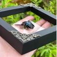 thumbnail image 3 of Framed Blue Carpenter Bee Art Glass Shadow Box Insect Wall Display Wooden Frame Gothic Home Decor Tabletop K12-61-KINH, 3 of 6