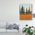 thumbnail image 3 of Trademark Fine Art 'Cypress Trees I' Canvas Art by Tim OToole, 3 of 4