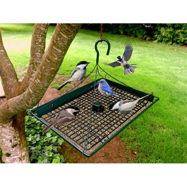 3 in 1 Platform Bird Seed Feeder