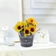 thumbnail image 4 of CREATITOY Vintage Iron Flower Pot Bucket Garden Patio Container, 4 of 6