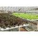 thumbnail image 3 of Canasta de plantación hidropónica canasta de cubo de plantas acuáticas, 3 of 8