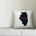 thumbnail image 4 of Creative Products Blue and Orange Illinois Pride 16x16 Spun Poly Pillow, 4 of 4