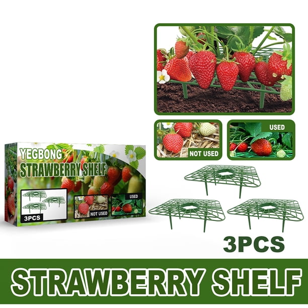 Soporte de marco de soporte para fresa estante de plantación para Ehuebsd balcón soporte para fruta planta flor escalada vid Pilar jardinería 3 unidslote