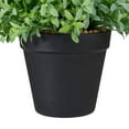 thumbnail image 5 of Northlight 7.5" Potted Green Artificial Boxwood Plant, 5 of 5