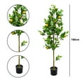 thumbnail image 7 of 5ft Artificial Lemon Tree with Realistic Trunks and Leaves, Fake Pre Potted Fake Lemons Floor Plants, Easy Assembly, Low Maintenance, Ideal for Home Office Porch Decorations, 7 of 7