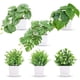 thumbnail image 1 of Paquete de 6 plantas artificiales en macetas para decoración del hogar y la oficina, 1 of 6