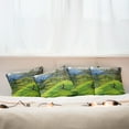 thumbnail image 4 of Ambesonne Nature Throw Pillow Cover 4 Pack, Panoramic Public Wiev, 20", Lime Green Violet Blue, 4 of 5