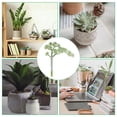 thumbnail image 5 of Uxcell Artificial Succulent Plants Unpotted Faux Succulents Plants Fake Plants Rattan Green, 5 of 5
