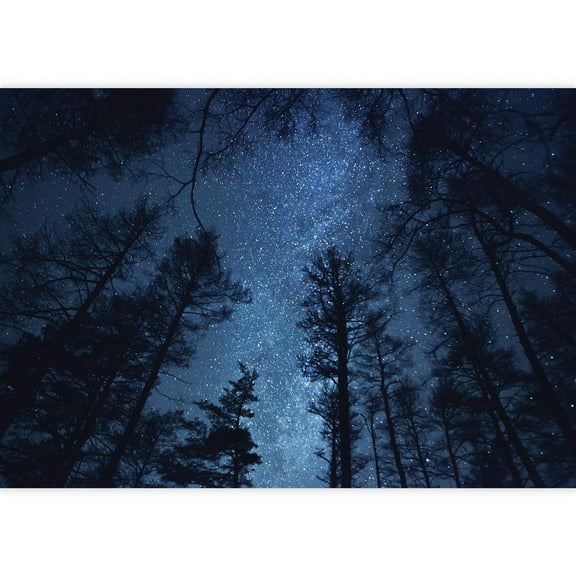 Wall26 - A Gazing View Up Into The Night Starry Sky Surrounded by Trees - Wall Mural, Removable Sticker, Home Decor - 66x96 inches