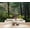 Color 4, variant on Wallpaper Green Forest Nature Landscape Sunlight Pine Trees Natural Wood Peel and Stick Wall Murals 69"H x 96"W Removable PVC Wall Paper Self-Adhesive Wall Paintings Art Decor for Bedroom Living Room
