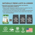 Naturally Fresh WalnutBased QuickClumping Cat Litter 14 lb. Bag