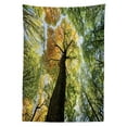 thumbnail image 3 of Ambesonne Tree Tablecloth Rectangular Table Cover, Forest Autumn Growth Eco, 52"x70", Dark Brown Pale Green, 3 of 4