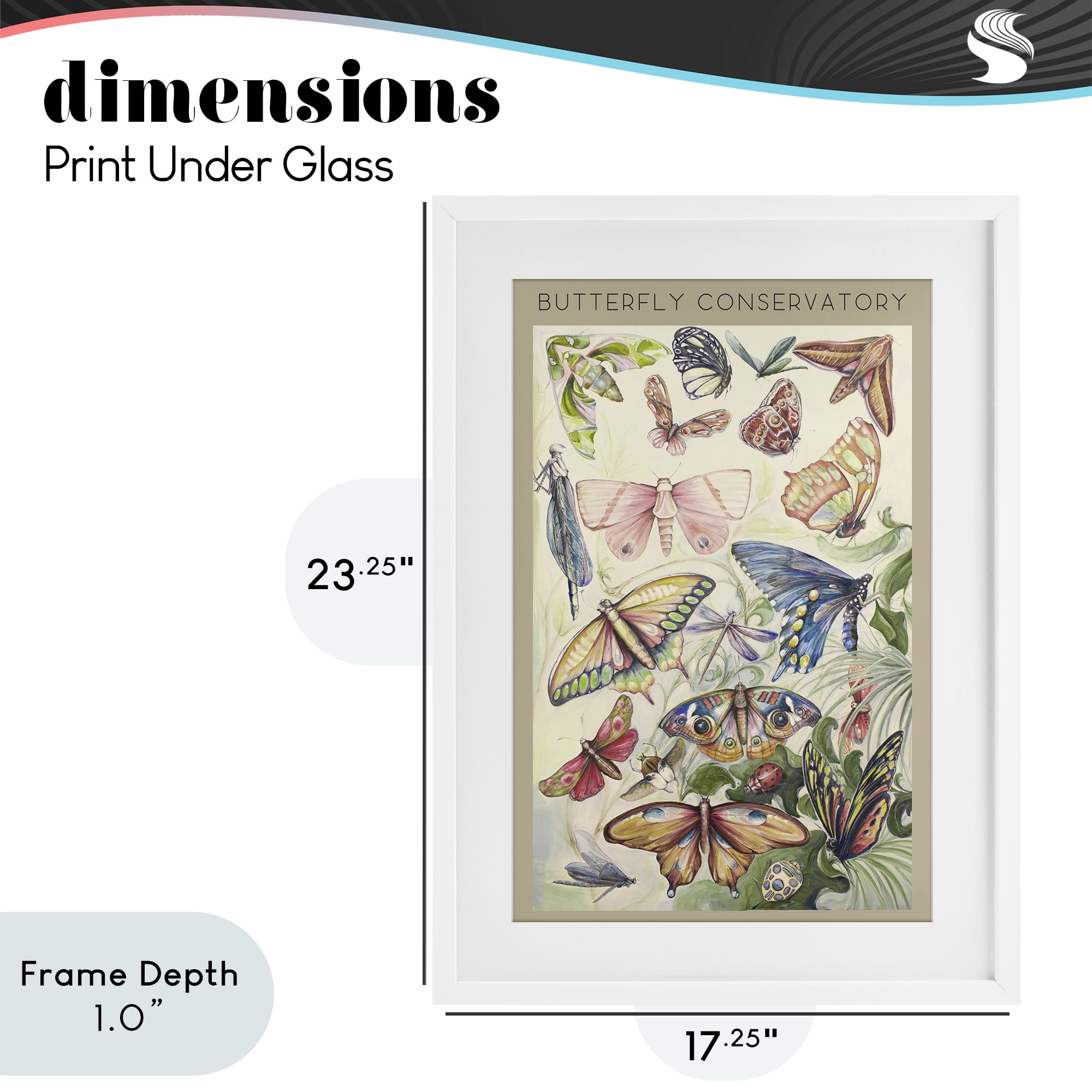 Stupell Industries Butterfly Conservatory Insects White Framed Print Under Glass, design by Diannart
