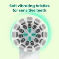 thumbnail image 5 of Quip Rev Oscillating Electric Toothbrush Head, Adult Compact Head Refill, White, 2 Pack, 5 of 10