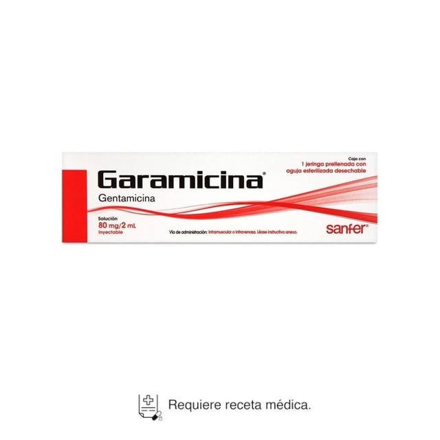Garamicina Gentamicina 80 mg / 2 ml solución inyectable 1 jeringa prellenada
