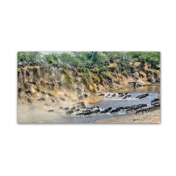 Trademark Fine Art 'Great Migration' Canvas Art by Hua Zhu
