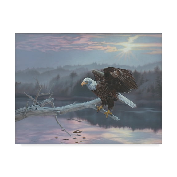 Trademark Fine Art 'The Huron Eagle' Canvas Art by Rusty Frentner