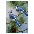 thumbnail image 1 of Toland Home Garden Blue Jay Duet 28 x 40 Inch Decorative Fall Winter Bird Pine Tree House Flag - 1010433, 1 of 1