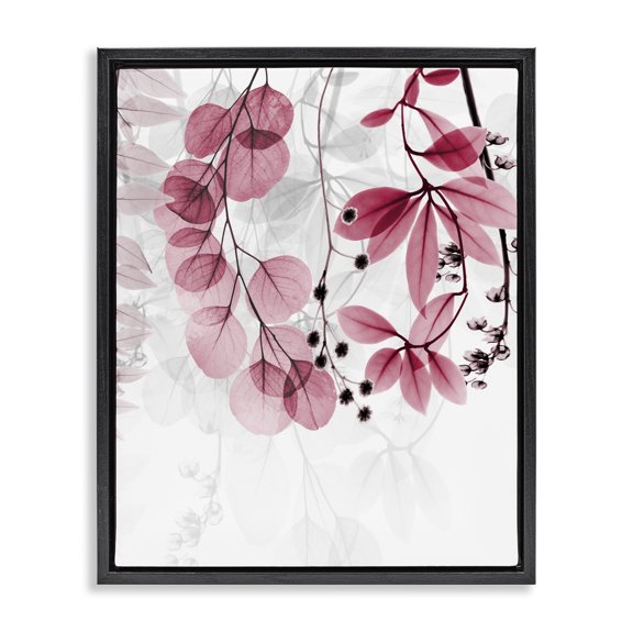 Stupell Industries Contemporary Modern Pink Botanical Leaves Black Floating Frame Canvas Art, 25 x 31, by Albert Koetsier