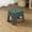 Green, variant on 1 Piece Plastic Mini Stool, Thickened Utility Step Stool, Sturdy Lightweight Seat for Living Room and Bathroom, Portable Shoe Changing Bench, Home Accessory