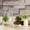 TYPE3, variant on Efavormart 3 Pack | 3" Artificial PVC Roundleaf Echeveria Stem Succulent Plants