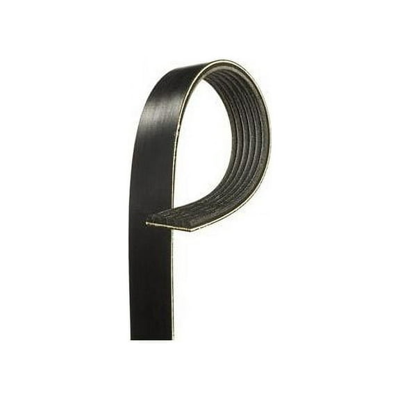 Power Steering Multi Rib Belt - Compatible with 1999 - 2002 Honda Accord 3.0L V6 Gas 2000 2001