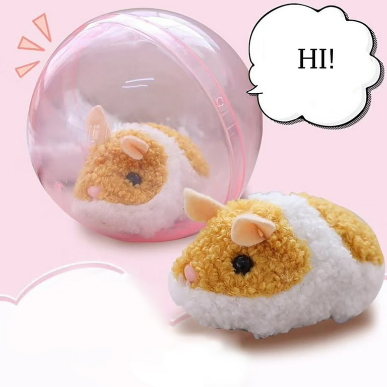 Hamster ball cheap robot