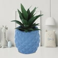thumbnail image 4 of Clearance! Nomeni Plant Pots Resin Decoration Pineapple Plant Green Plant White Collar Desk Flowerpot Garden Supplies Blue, 4 of 9