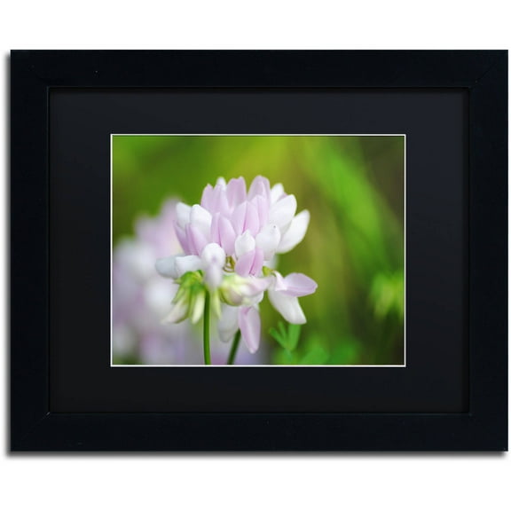 Trademark Fine Art "Calm Heart" Canvas Art by Monica Mize, Black Matte, Black Frame