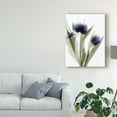 thumbnail image 3 of Trademark Fine Art 'Xray Tulip IV' Canvas Art by Judy Stalus, 3 of 4