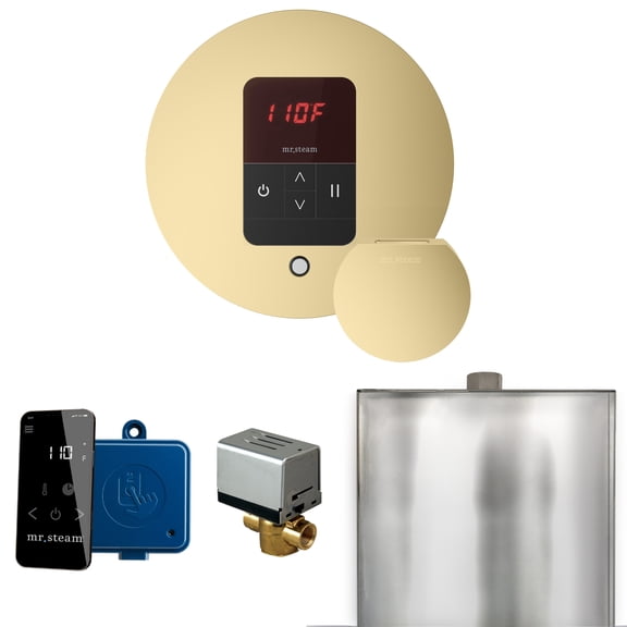 Mr Steam Basic Butler Steam Shower Ctrl Pkg w/Round iTempo Control and Steamhead in Satin Brass
