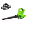 Greenworks 40V 340 CFM Cordless Brushless Leaf Blower/ Vacuum, Battery Not Included, 24312