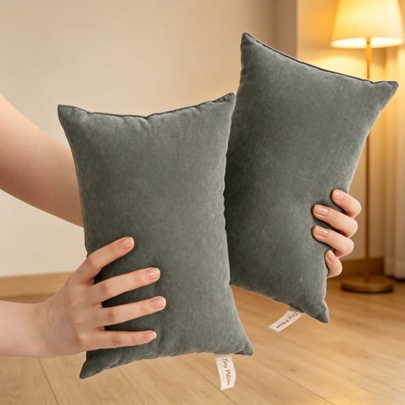 BESEW7 Machine Washable Tiny Pillowcases 2 Pack Microfiber Soft Travel Pillow Case for Camping Airplane Portable Waist Support Gray