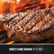 Pit Boss Tabletop Pellet Smoker, 256 Square inch Wood Fired Pellet Grill, Onyx Series