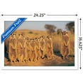 thumbnail image 3 of Meerkat Wall Poster, 14.725" x 22.375" Framed, 3 of 5