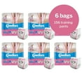 thumbnail image 3 of Comfees Training Pants for Girls, DriNite 12-hr Leakage Protection, 2T-3T, 26 Count, 6 Packs, 156 Total, 3 of 8