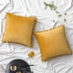 thumbnail image 1 of Paquete de 2 fundas de almohada de terciopelo, fundas de almohada decorativas con pompones, fundas de almohada suaves sólidas con pompones cuadrados para sofá, dormitorio, coche, 45x45cm Xemadio LRWJ223-25, 1 of 6