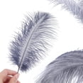 thumbnail image 5 of 10PCS Gray Ostrich Feathers, 10-12 inch(25-30 cm) Ostrich Feathers Bluk for DIY Crafts Centerpieces Wedding Halloween Costume Party Decorations, 5 of 7
